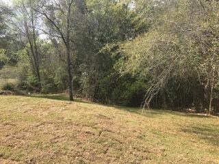 IMG_2040(1)