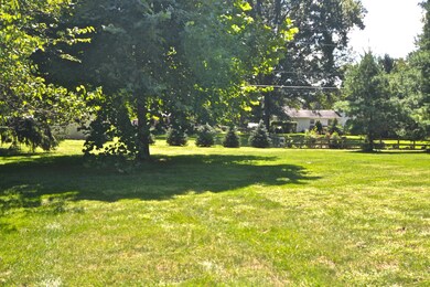 Side Yard