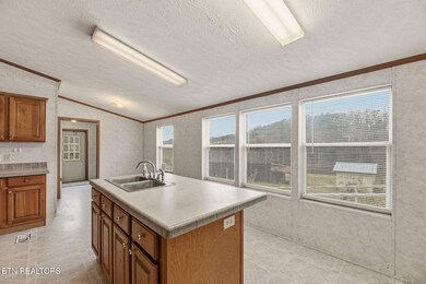 357 Muncey Hollow Ln, Washburn, TN 37888 - photo 7