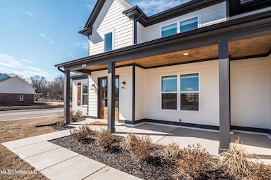 10190 May Flowers St, Olive Branch, MS 38654 - photo 3