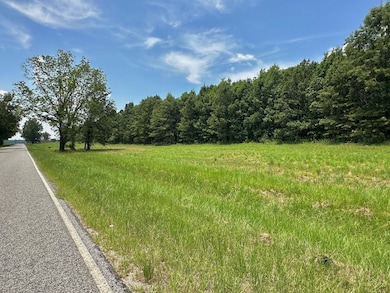 0 Chappell Rd unit 543723, Waynesboro, GA 30830 - photo 5