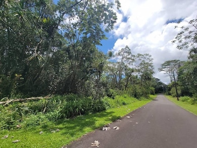 0 S Nenue St unit 725903, Pahoa, HI 96778 - photo 3