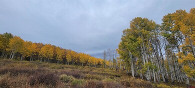 TBD Divide Rd, Gateway, CO 81522 - photo 5