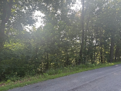 0 Oak Ridge Rd unit 919427, Buchanan, VA 24066 - photo 6