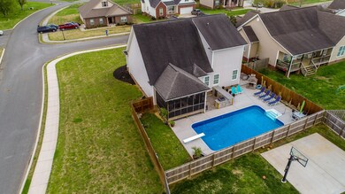 Pool Aerial 2