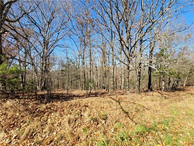 8 Acres Devils Den Rd, Winslow, AR 72959 - photo 5