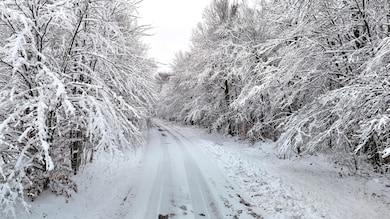 873 Walkerville Rd, Brandon, NY 12966 - photo 2