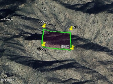 0 N 0 -- E unit 6708579, Chloride, AZ 86431 - photo 4