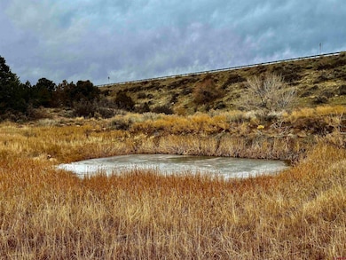 000 T5 Rd, Dolores, CO 81323 - photo 6