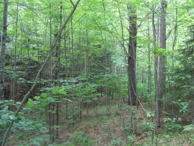 ON McCarthy Lake Rd, Tomahawk, WI 54487 - photo 5