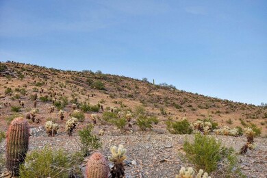 N. View backing to S. Mt. Preserve