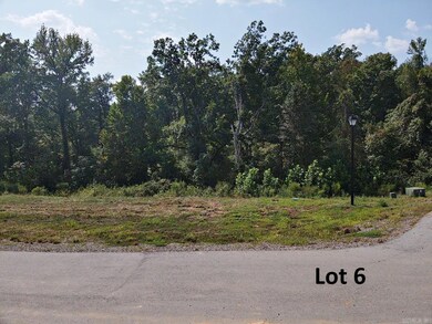 121 Shepherd Loop Dr, Arkadelphia, AR 71923 - photo 4