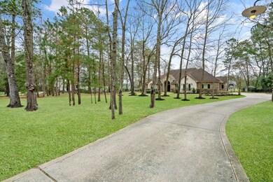 3110 W Benders Landing Blvd, Spring, TX 77386 - photo 2