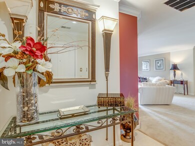 9500 Side Brook Rd unit 510, Owings Mills, MD 21117 - photo 7