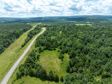 Nolia Loop, Nashoba, OK 74558 - photo 6