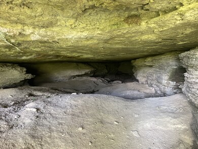 601 Whitaker Bend Rd, Linden, TN 37096 - photo 6