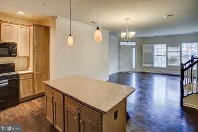 43039 Clarks Mill Terrace, Ashburn, VA 20148 - photo 2