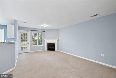 11405J Windleaf Ct unit 178, Reston, VA 20194 - photo 6