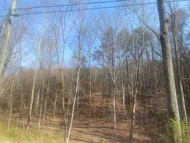 Lot 7 SW Holloway Rd, Cleveland, TN 37311 - photo 5