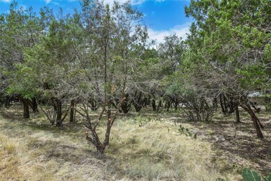 View of undeveloped land