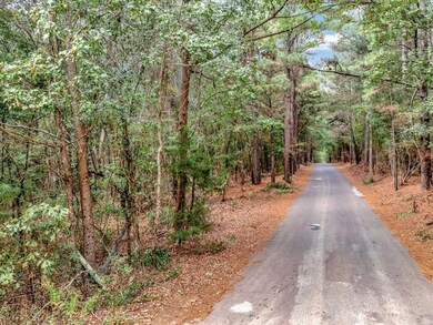 TBD County Road 711, Nacogdoches, TX 75964 - photo 2