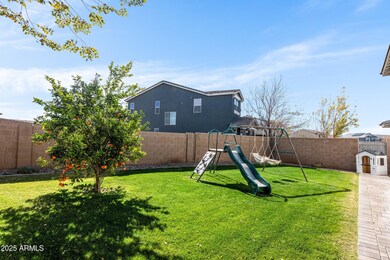 Backyard grass area
