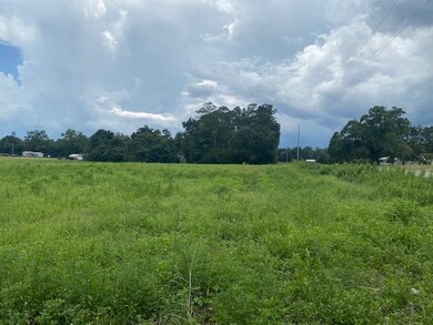 Lot 2A Antioch Rd, Conway, SC 29527 - photo 4