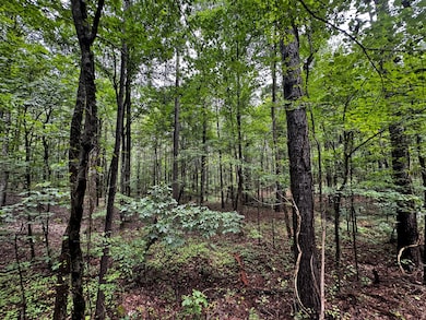 3550 Morgans Run Pkwy, Bessemer, AL 35022 - photo 6