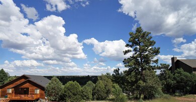 680 Jogin Ln S, Show Low, AZ 85901 - photo 6