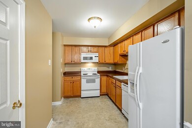1107 Middleton Place, Norristown, PA 19403 - photo 6