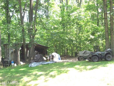 407 Blue Bell Ln, Strasburg, VA 22657 - photo 7