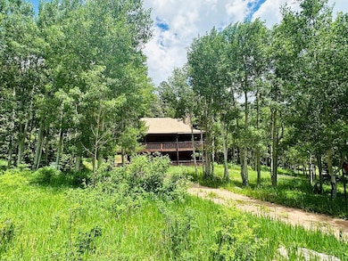 834 Ponderosa Rd, La Veta, CO 81055 - photo 4