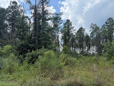 0 County Road 51 Greensboro unit AL 36744, Greensboro, AL 36744 - photo 2