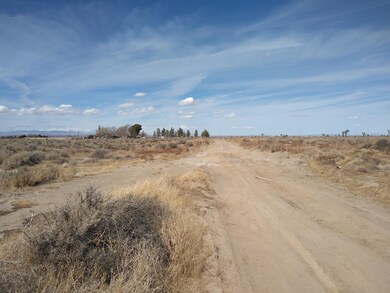 0 105th St East Vic Ave E10 unit 21002404, Lancaster, CA 93535 - photo 5