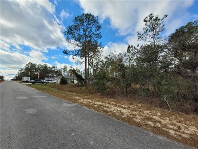 0 SW Winding Hills Rd unit MFROM714400, Dunnellon, FL 34431 - photo 6