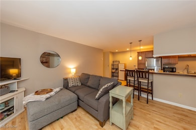 7000 Carriage Hill Dr unit 203, Brecksville, OH 44141 - photo 5