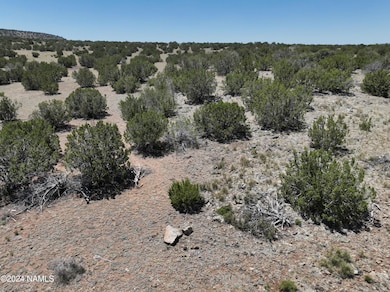DJI_20240615113921_0070_V