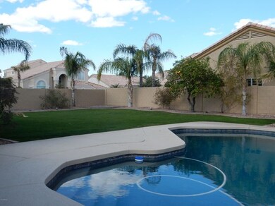 Pool 1