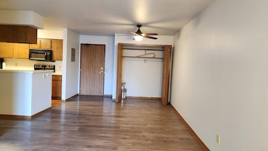 1140 Morraine View Dr unit 204, Madison, WI 53719 - photo 6