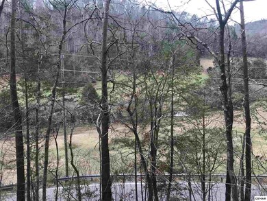 Additional View 4