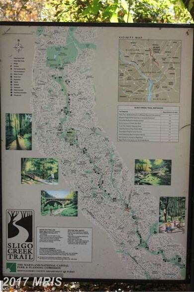 7103 13th Ave, Takoma Park, MD 20912 - photo 4