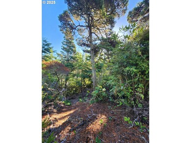 0 Windleaf Way unit TL4100 313727279, Florence, OR 97439 - photo 7