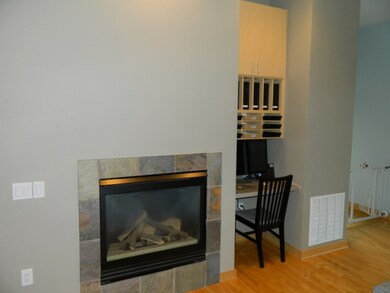 530 W Doty St unit 207, Madison, WI 53703 - photo 5