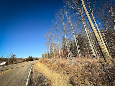 0 Langford Creek Rd unit LotWP002, van Etten, NY 14889 - photo 4