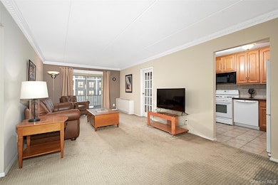 Newport Towers West unit 2T, Harrison, NY 10528 - photo 6