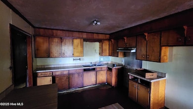 177 Dudney Ln, Chadbourn, NC 28431 - photo 3