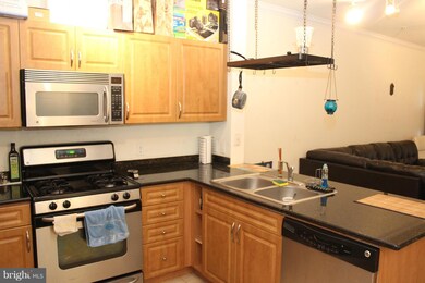 Bryson At Woodland Park unit 122, Herndon, VA 20171 - photo 6