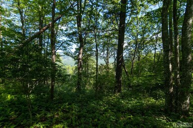 Lot 6 E Ridge Rd, Cashiers, NC 28717 - photo 6