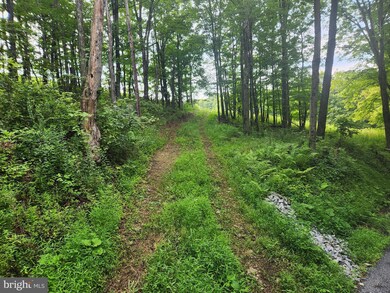 Adj 157 Thomas Rd, West St. Clair Township, PA 15521 - photo 4