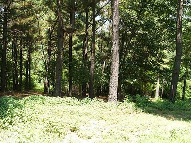 Exterior Front. another view of lot